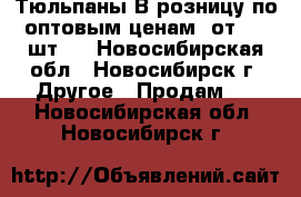 Тюльпаны В розницу по оптовым ценам (от 100 шт.) - Новосибирская обл., Новосибирск г. Другое » Продам   . Новосибирская обл.,Новосибирск г.